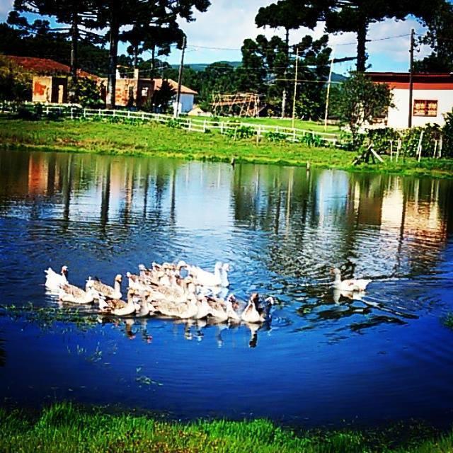 Refugio Do Lago Hotel Lages Exterior foto